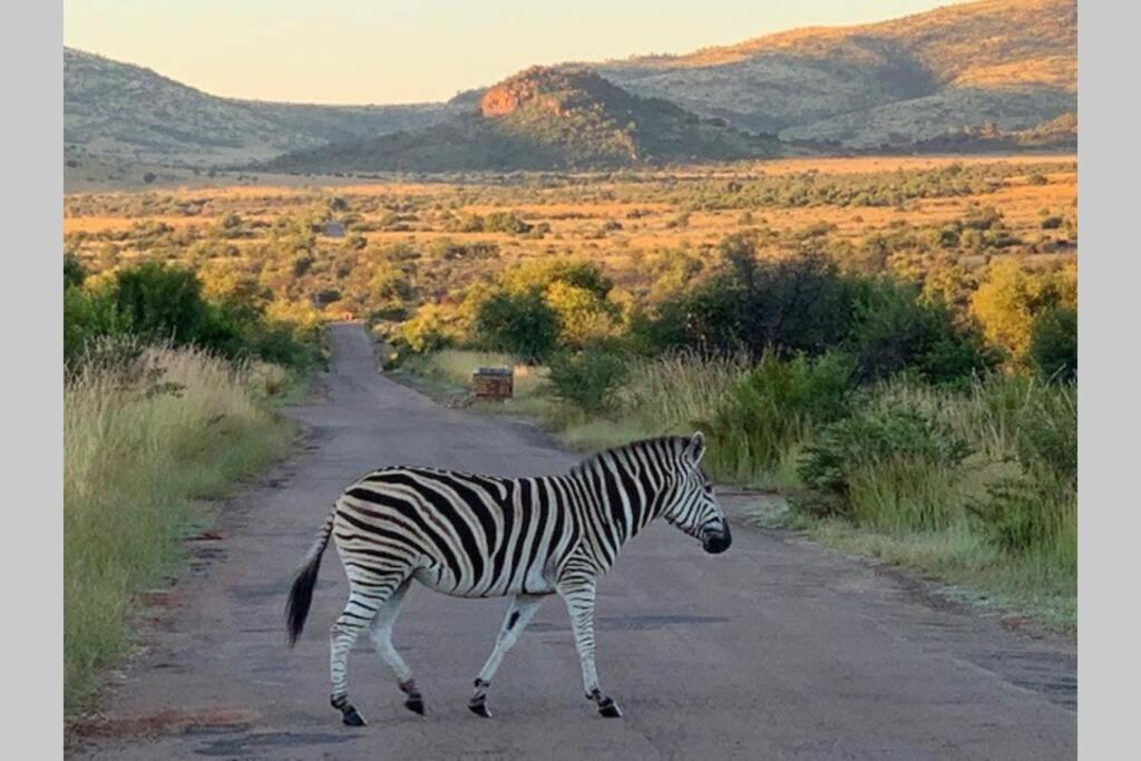 Rhino House With 3 Bedrooms Next To Pilanesberg And Sun City Mogwase Экстерьер фото