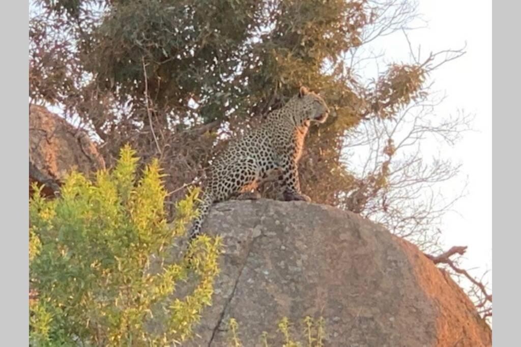 Rhino House With 3 Bedrooms Next To Pilanesberg And Sun City Mogwase Экстерьер фото