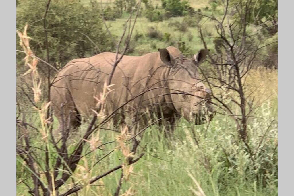 Rhino House With 3 Bedrooms Next To Pilanesberg And Sun City Mogwase Экстерьер фото